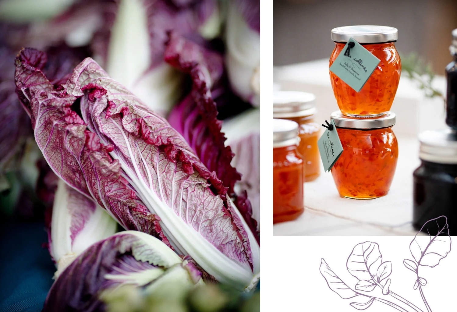 Berkshire Grown 8211 3